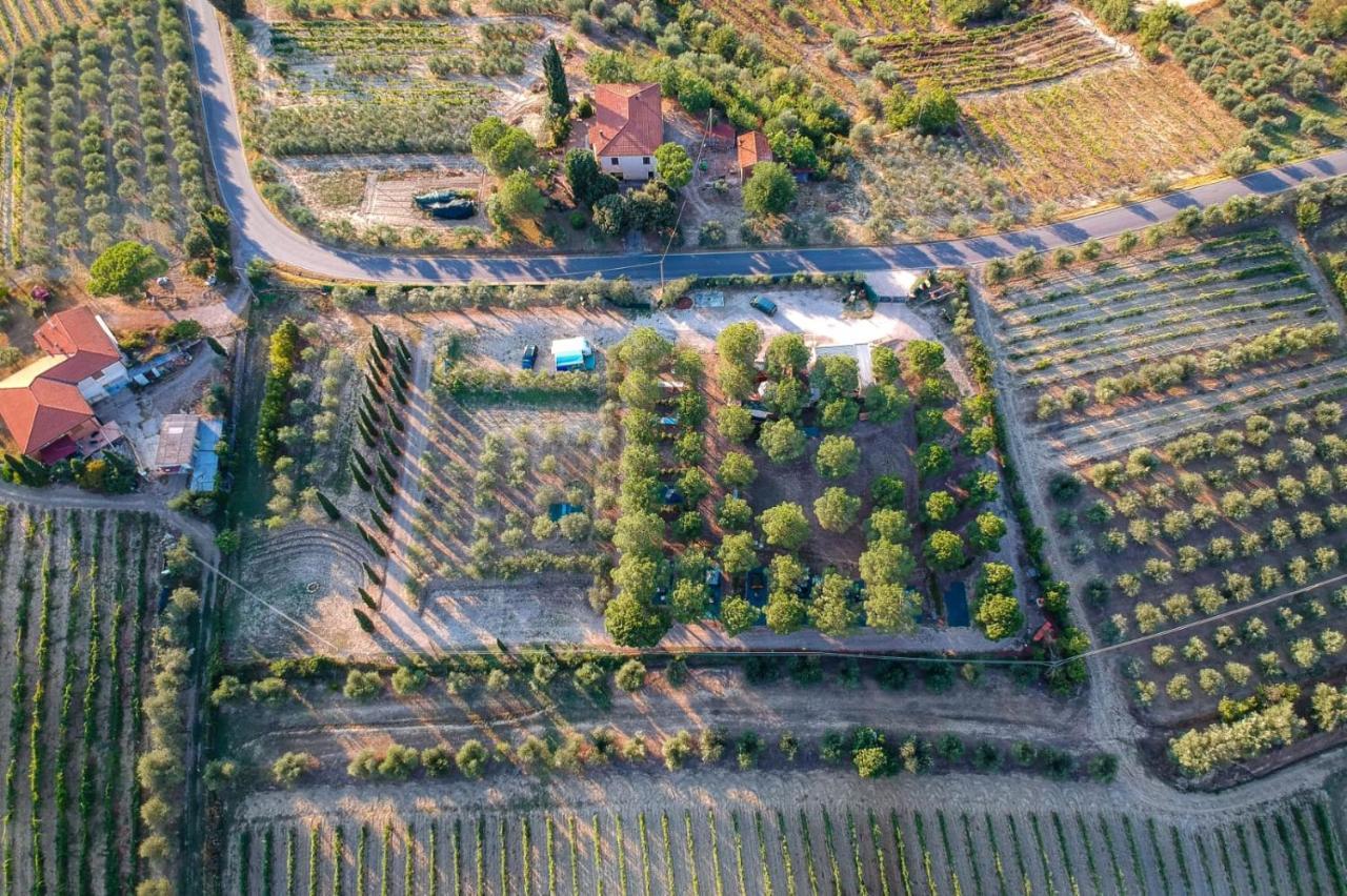 Agricamping Poggio Ai Pini Wine Camping Certaldo Exterior photo