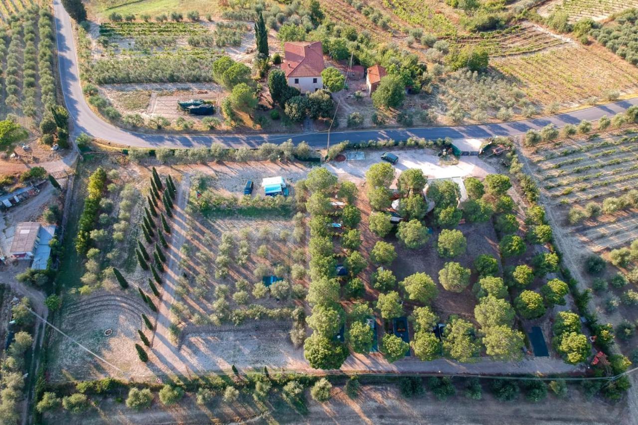Agricamping Poggio Ai Pini Wine Camping Certaldo Exterior photo