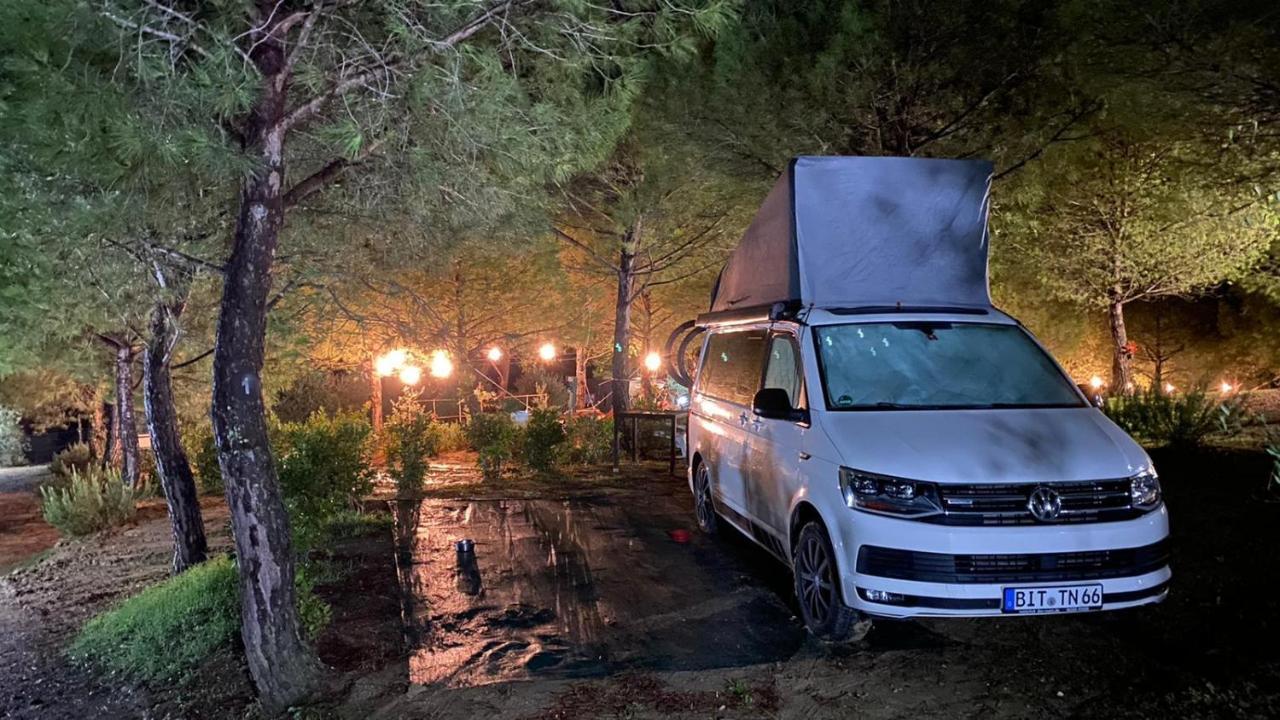 Agricamping Poggio Ai Pini Wine Camping Certaldo Exterior photo