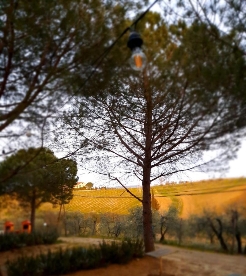 Agricamping Poggio Ai Pini Wine Camping Certaldo Exterior photo