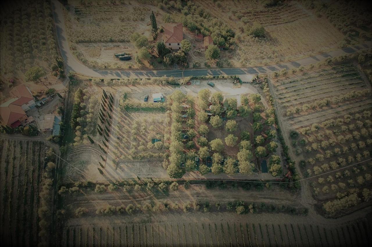 Agricamping Poggio Ai Pini Wine Camping Certaldo Exterior photo