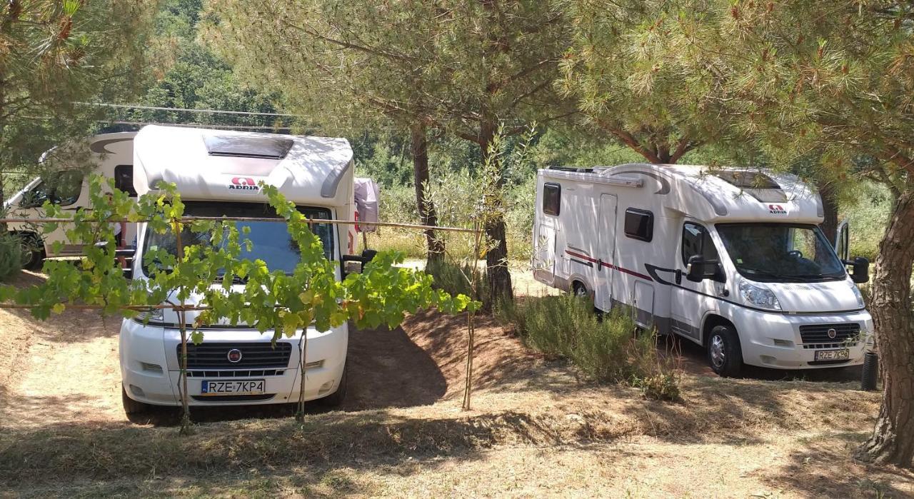 Agricamping Poggio Ai Pini Wine Camping Certaldo Exterior photo